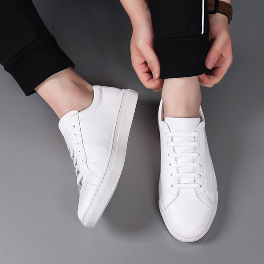 ALEXANDER™ SNEAKER